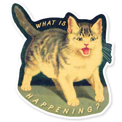 What is Happening Screaming Vintage Cat Sticker