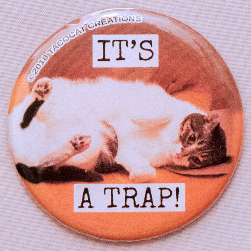 It's a Trap! Cat Magnet