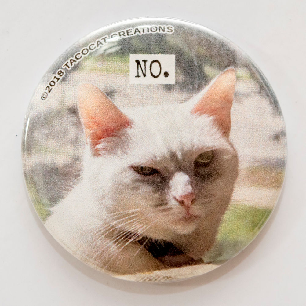 "No." Grumpy White Cat Magnet