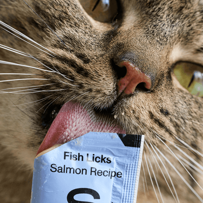 Fish Licks Cat Treats - Salmon (8 pack)