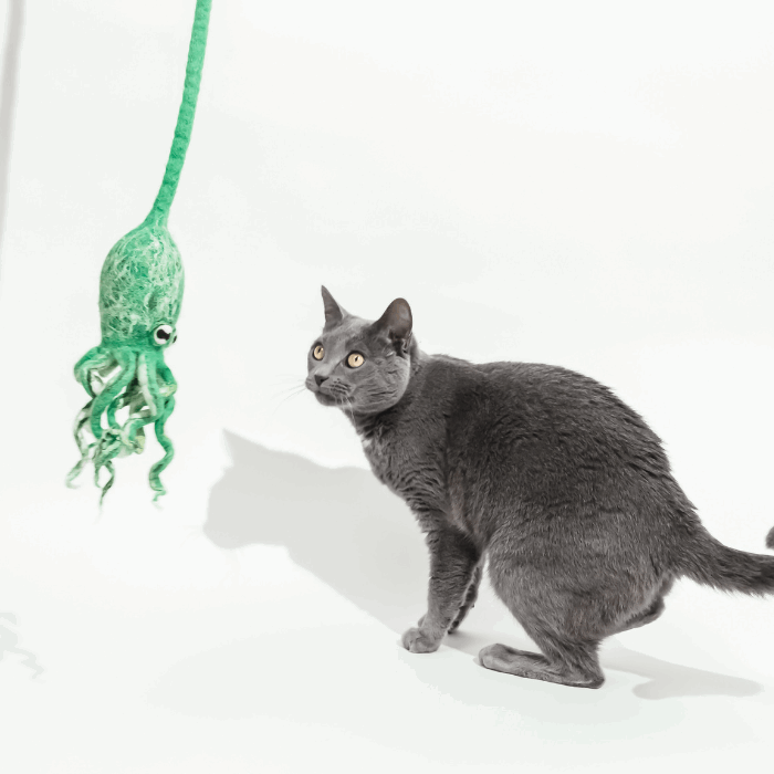 Wool Octopus Cat Toy with 4-Foot Tether (Sea Kelp Green)