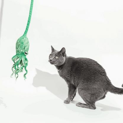Wool Octopus Cat Toy with 4-Foot Tether (Sea Kelp Green)