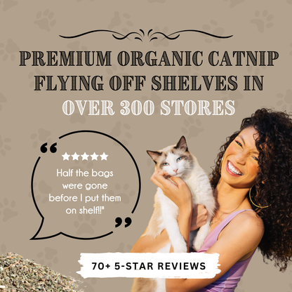 Calming Valerian Bean Bag Cat Toy (Assorted Patterns)