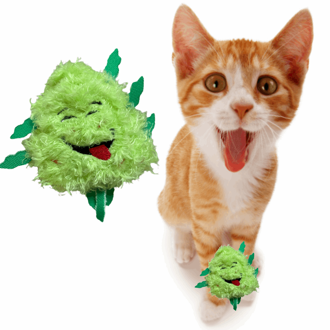 Weed Nug Catnip Cat Toy "Bud Jr."