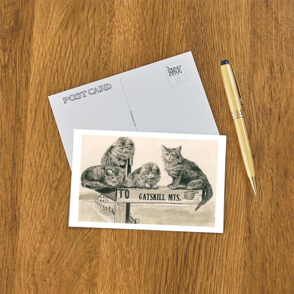 Cats on Catskill Mountains Sign Vintage Art Postcard