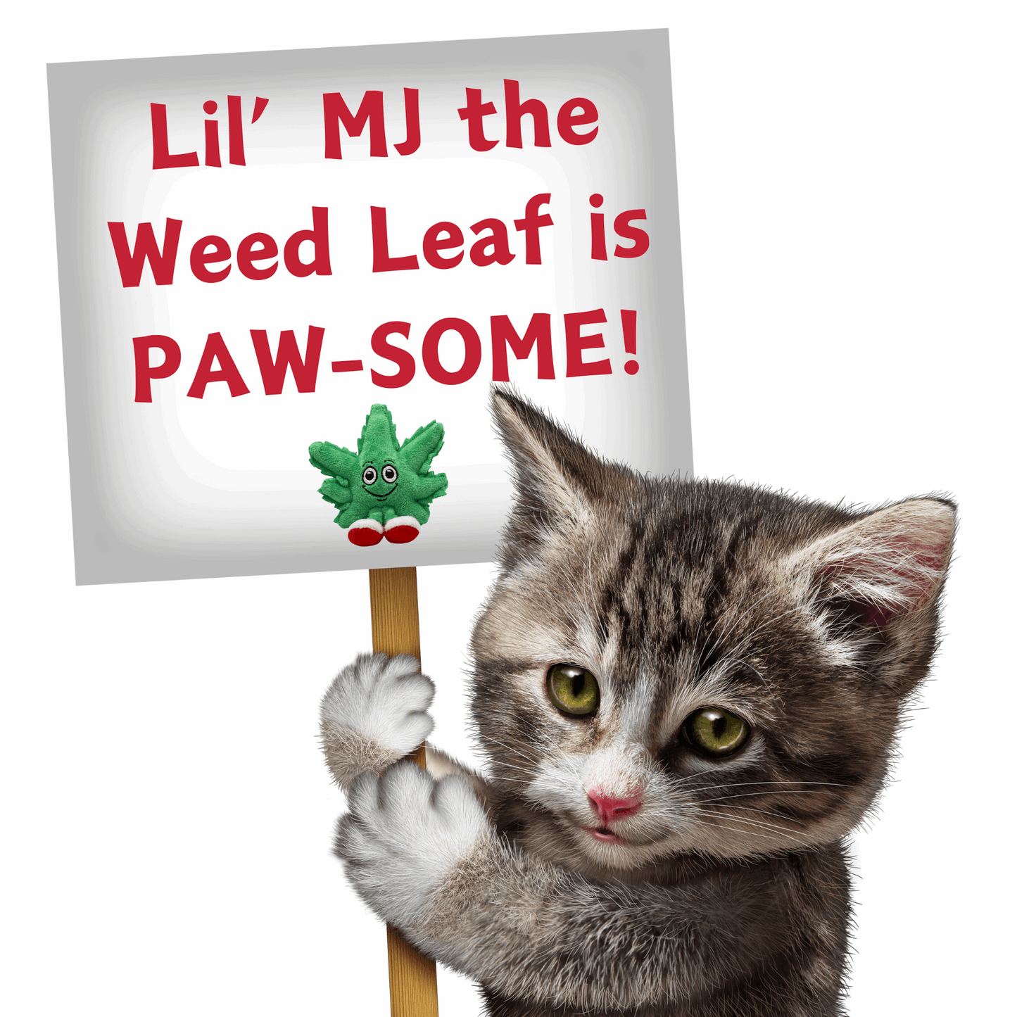 Weed Leaf Catnip Cat Toy "Lil' MJ"