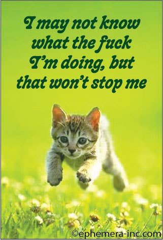 I May Not Know What the Fuck I'm Doing Cat Magnet
