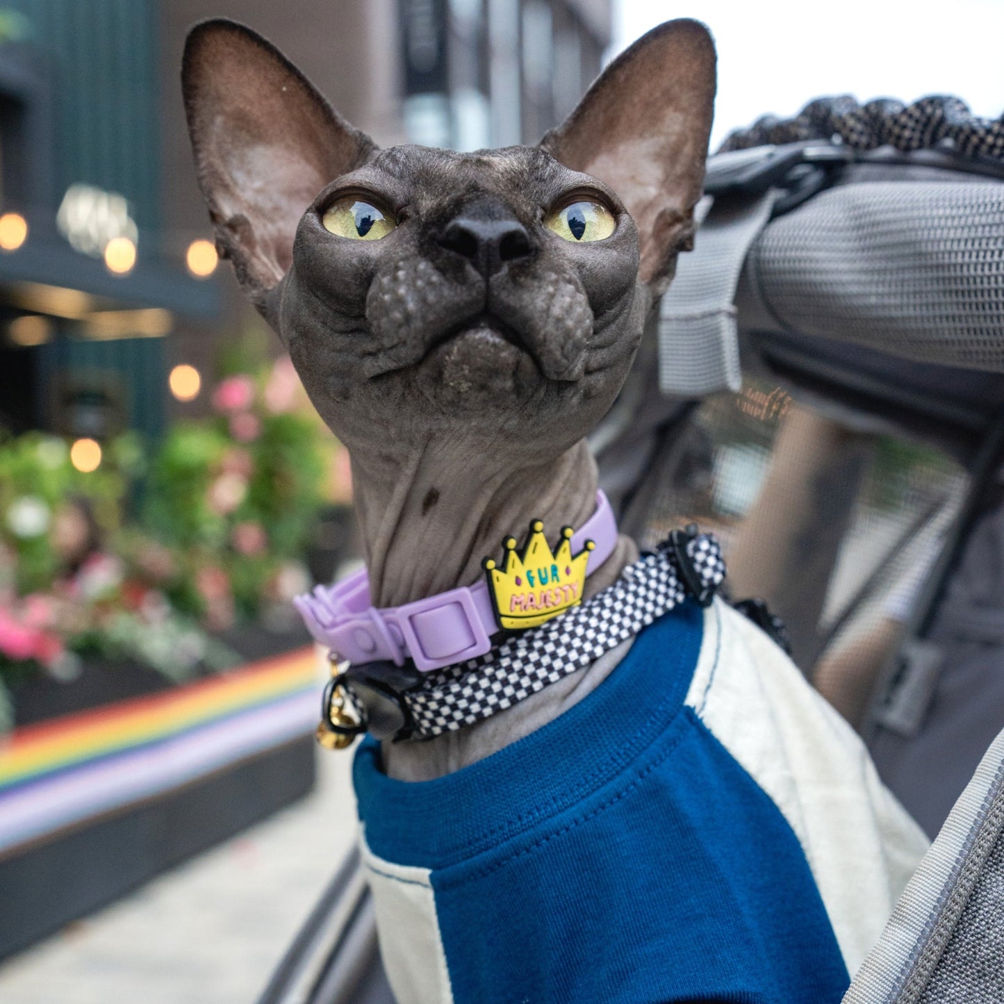 Fur Majesty Jiby Cat Collar Charm