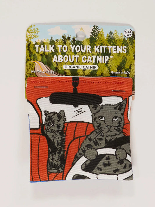 Talk to Your Kittens About Catnip Cat Toy