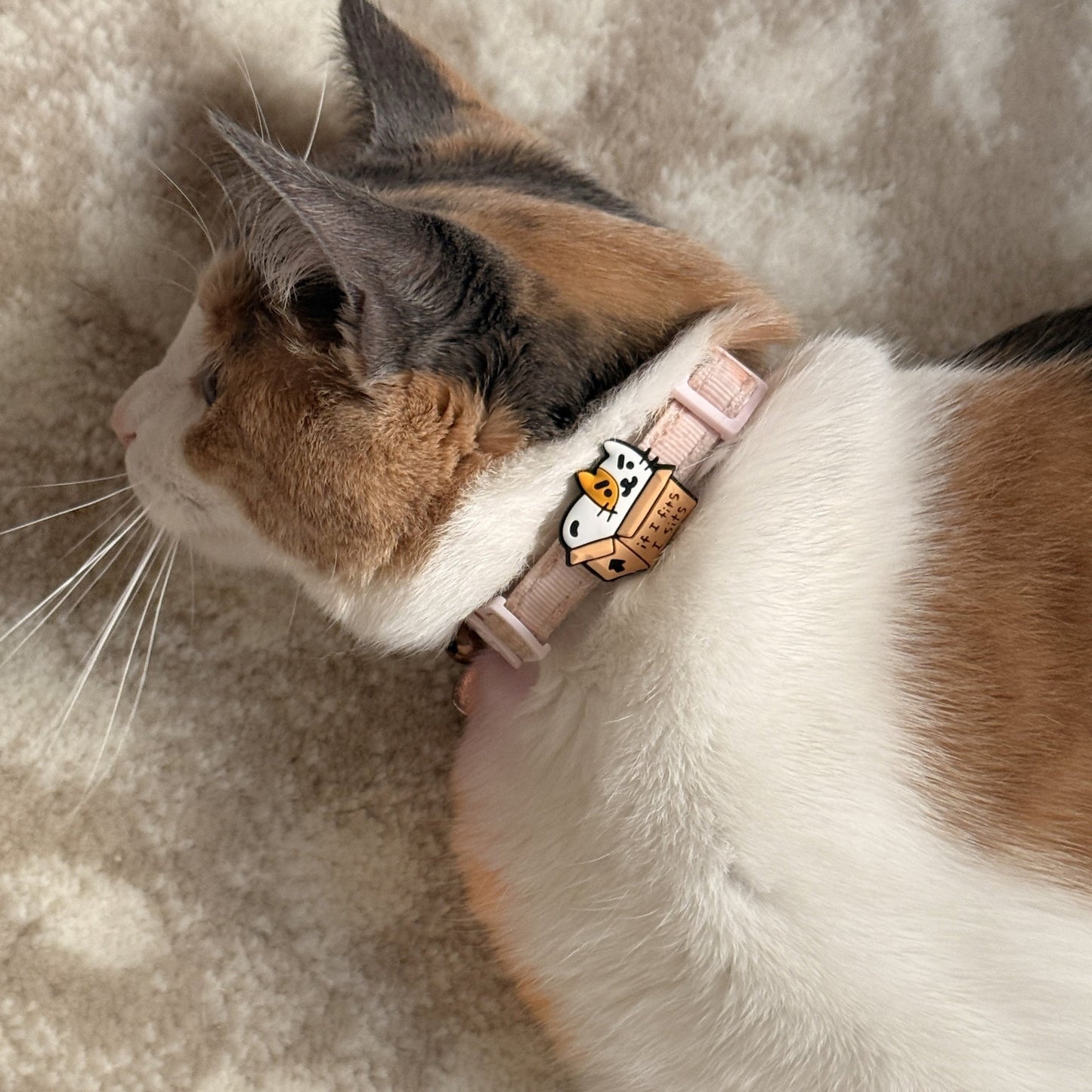If I Fits I Sits Jiby Cat Collar Charm