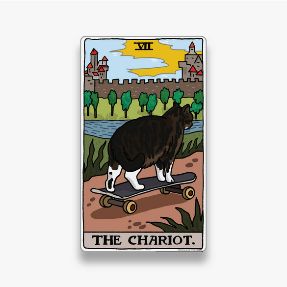 Cat Meme Tarot Card Sticker
