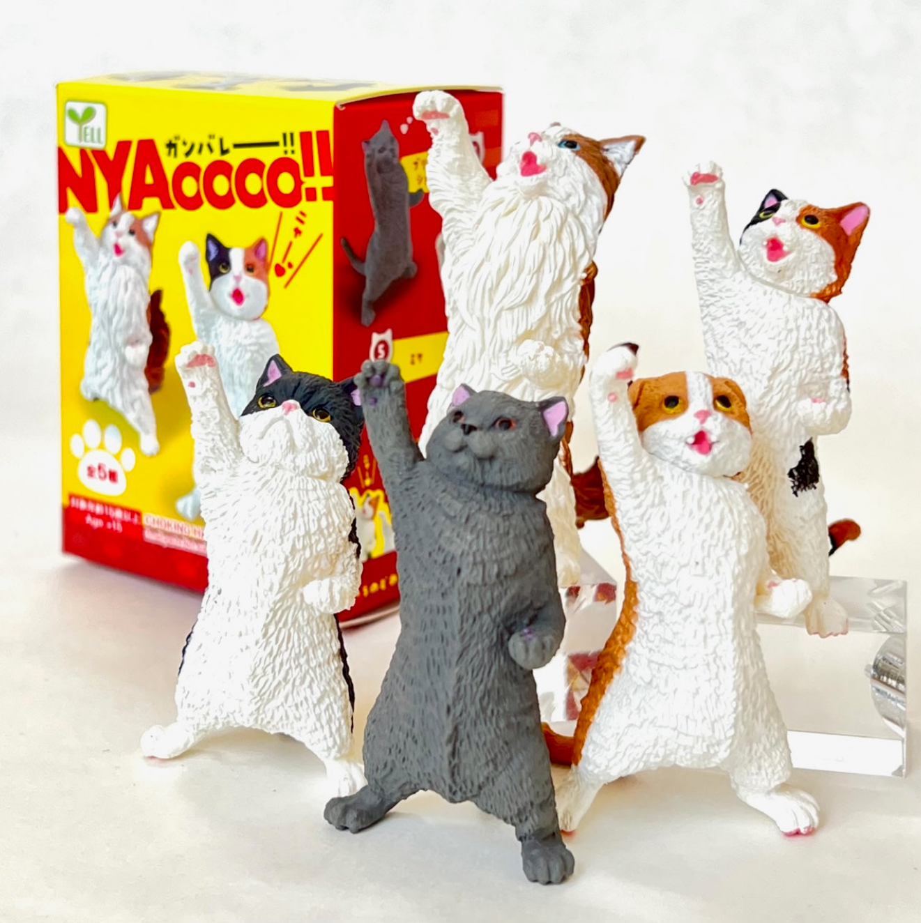Nyaooo! Power Cat Figurine Japanese Blind Box