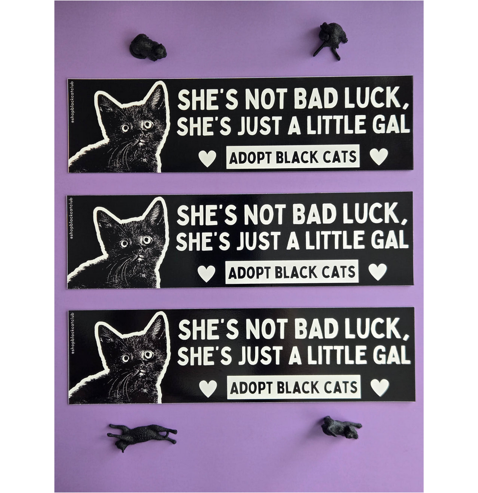 Just a Little Gal Black Cat Bumper Magnet