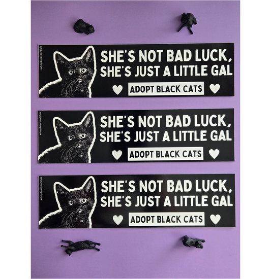 Just a Little Gal Black Cat Bumper Magnet