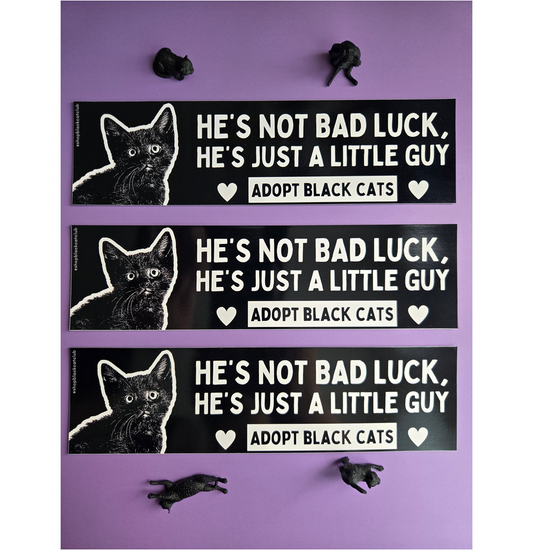 Just a Little Guy Black Cat Bumper Magnet