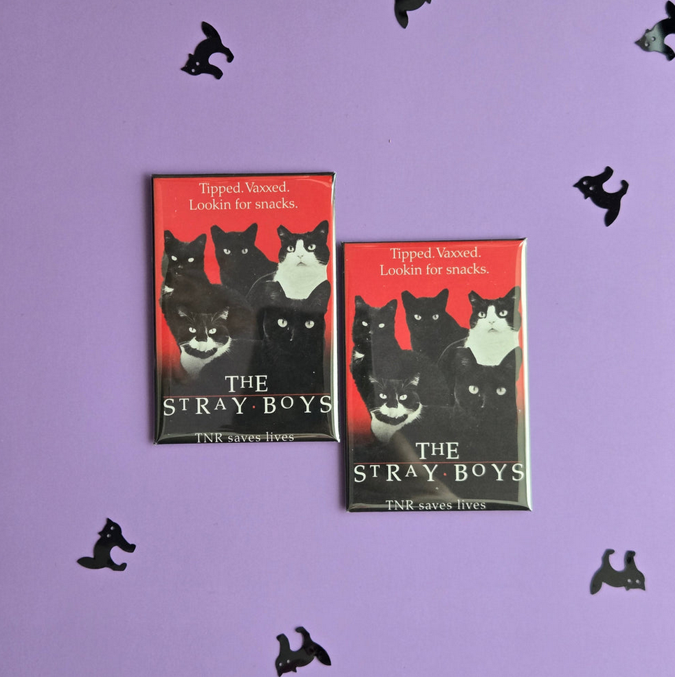 The Stray Boys Cat Fridge Magnet