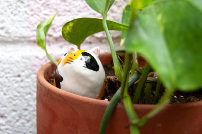 Cat Decorative Object - Series 3 (Sold Individually)