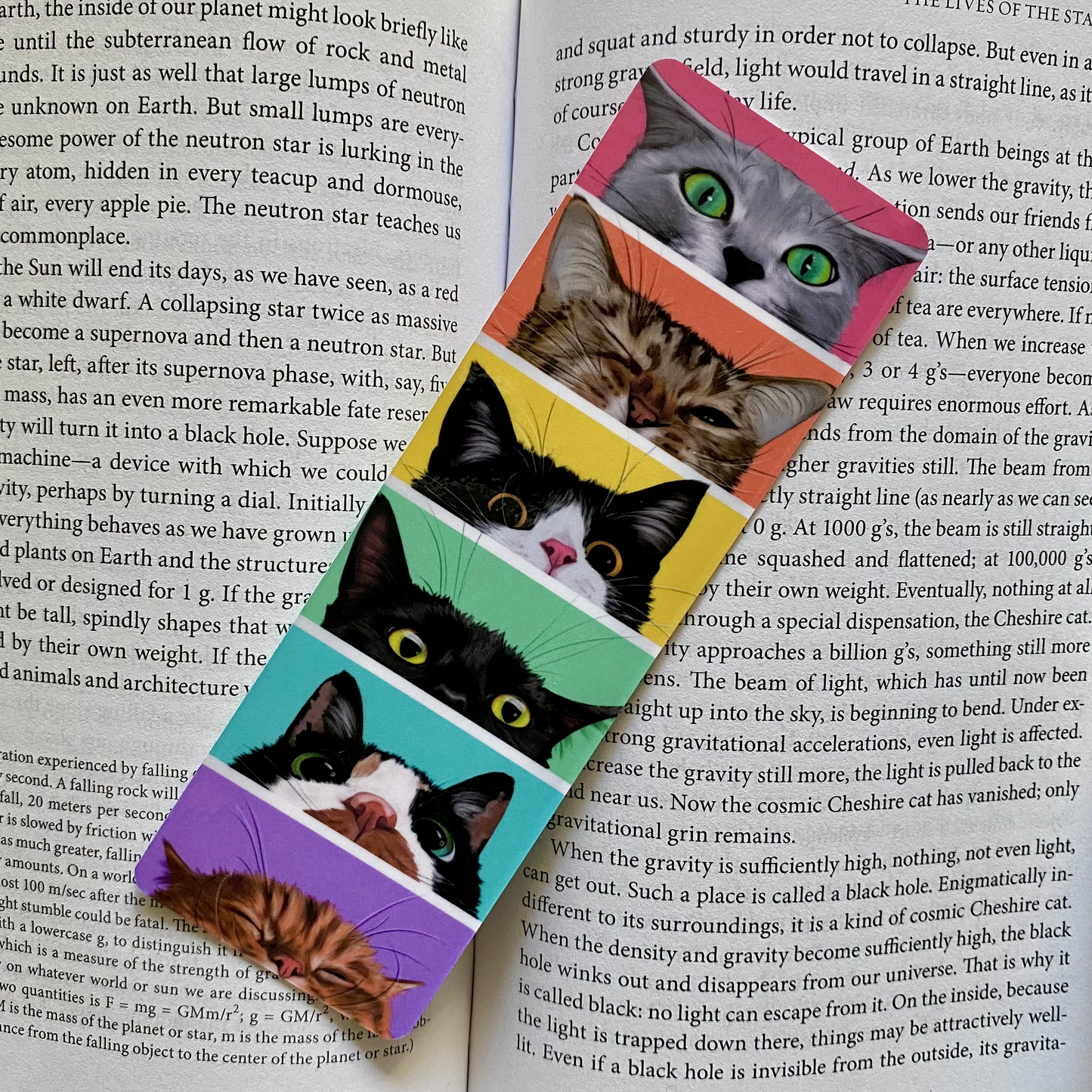 Peeking Rainbow Cats Bookmark