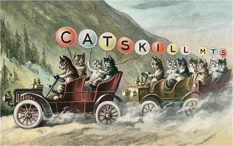 Catskill Mountains Cats in Cars Vintage Art Postcard