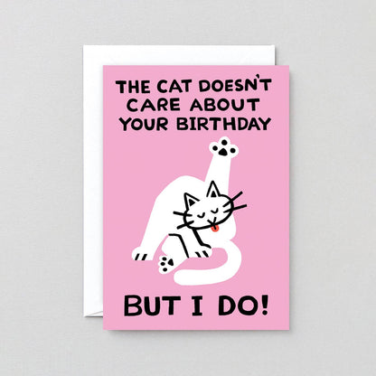 The Cat Doesn’t Care Greetings Card