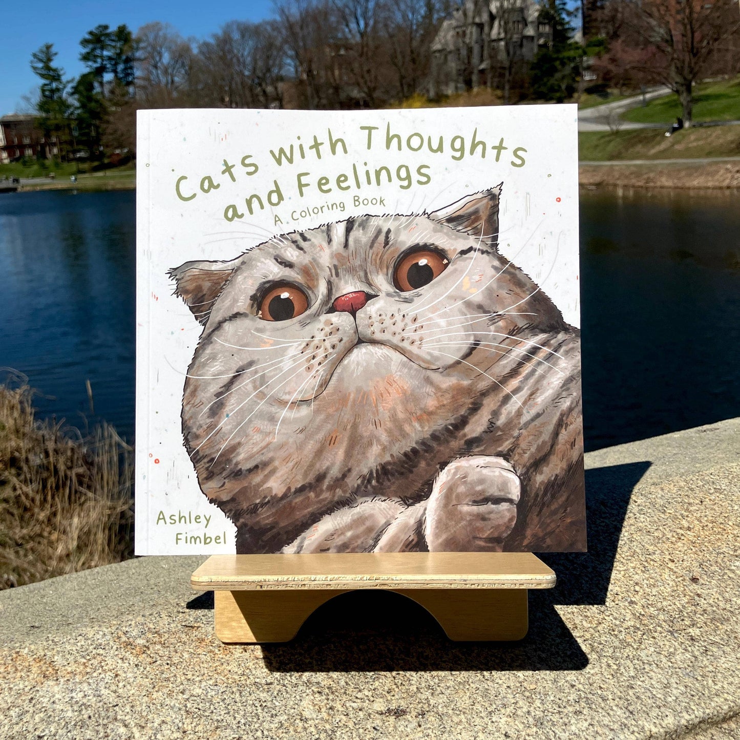 Cats With Thoughts And Feelings Coloring Book