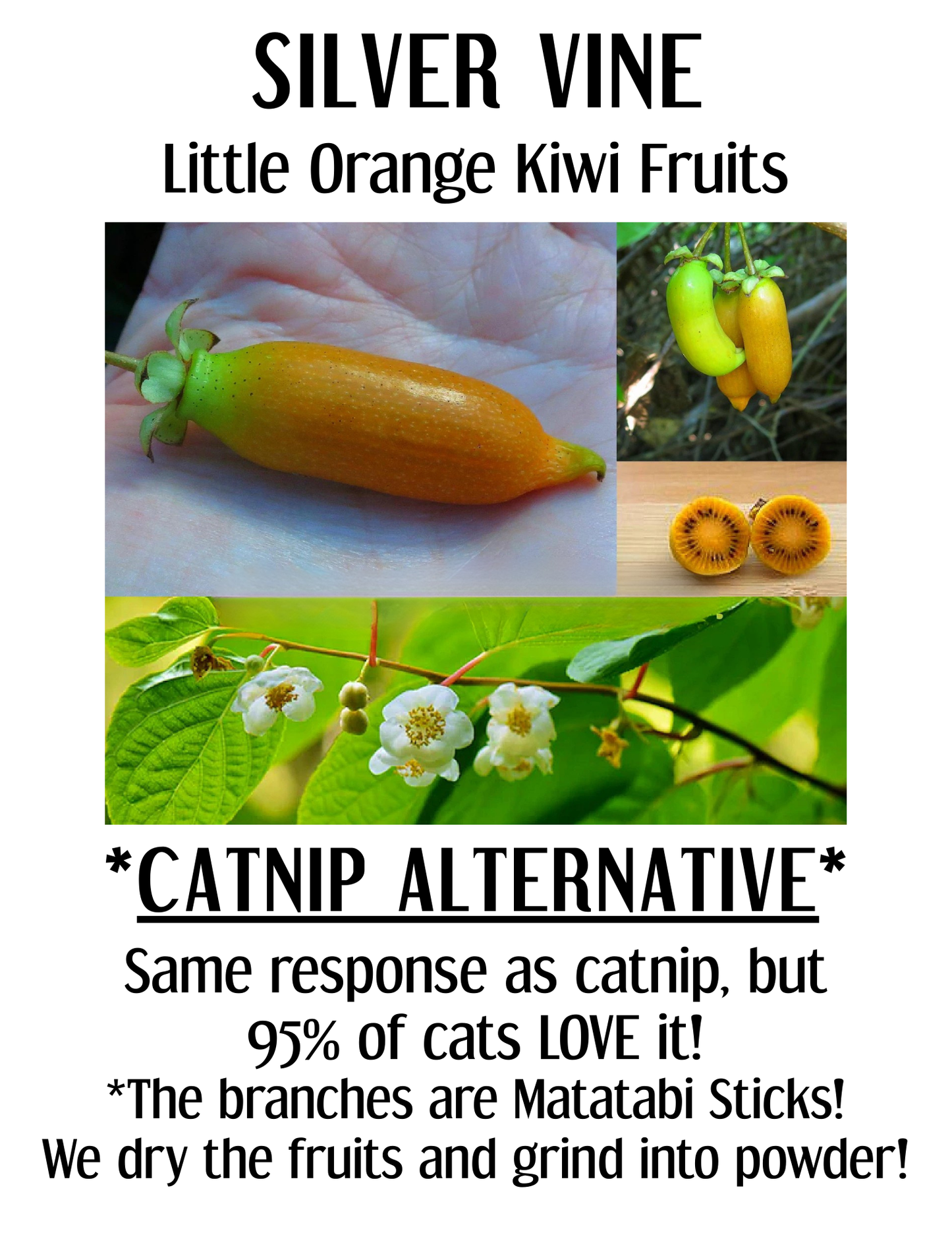 Organic Catnip & Silver Vine Blend Tube
