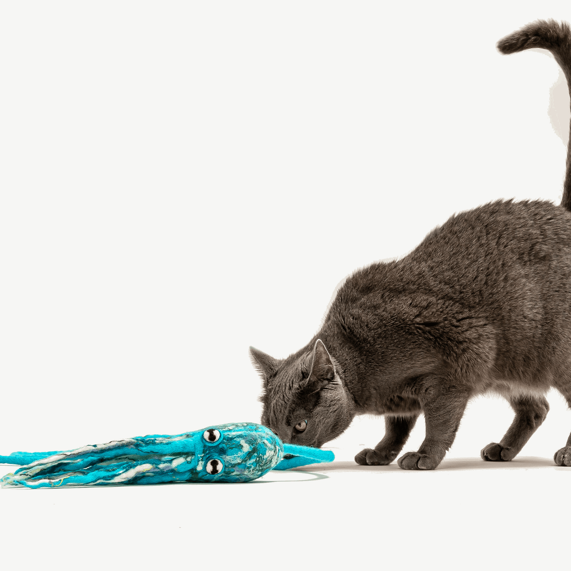 Wool Octopus Cat Toy with 4-Foot Tether (Arctic Blue)