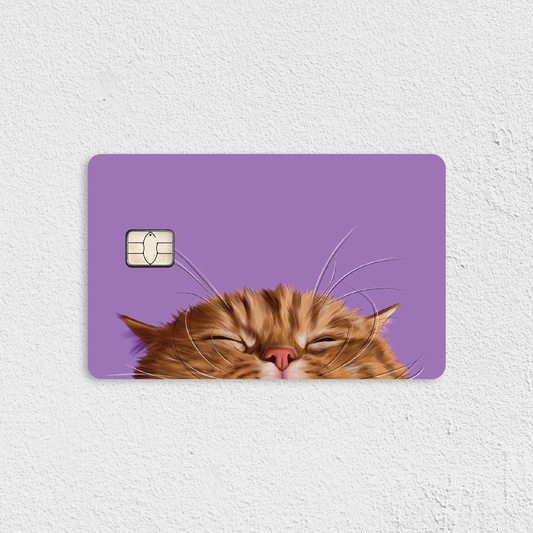 Orange Cat on Purple Credit Card Skin