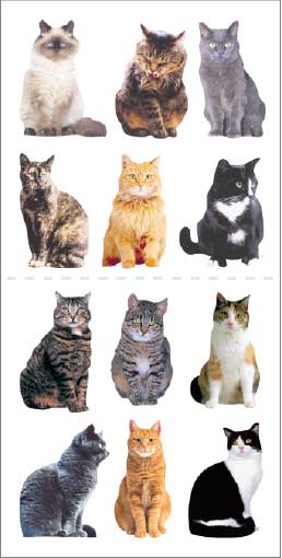 Mini Cat Stickers