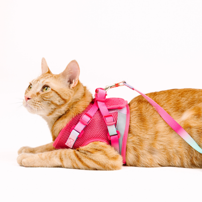 Stasia Cat Harness & Leash Set
