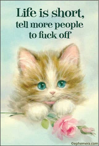 Life is Short Cat Magnet