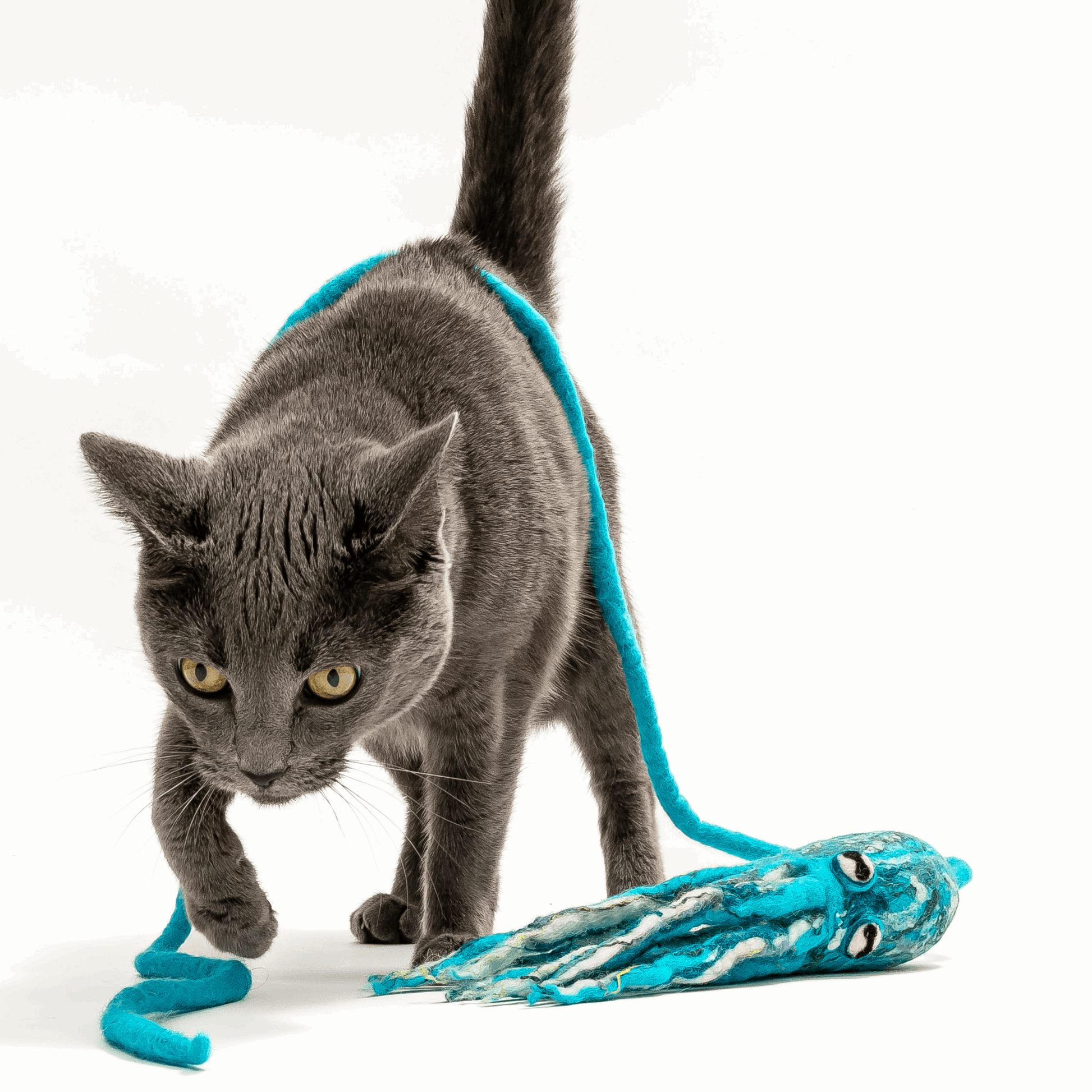 Wool Octopus Cat Toy with 4-Foot Tether (Sea Kelp Green)