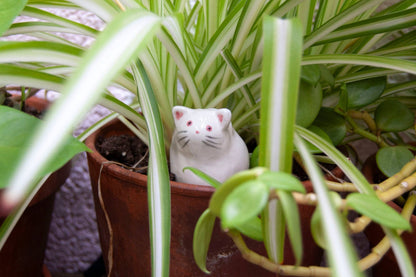 Cat Decorative Object - Series 1 (Sold Individually)