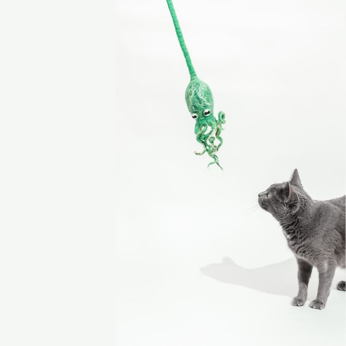 Wool Octopus Cat Toy with 4-Foot Tether (Arctic Blue)