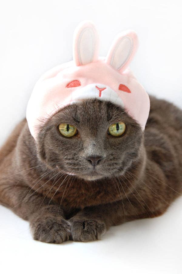 Hat for Cat - Pink Bunny