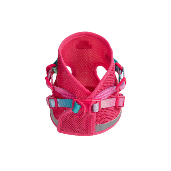 Stasia Cat Harness & Leash Set