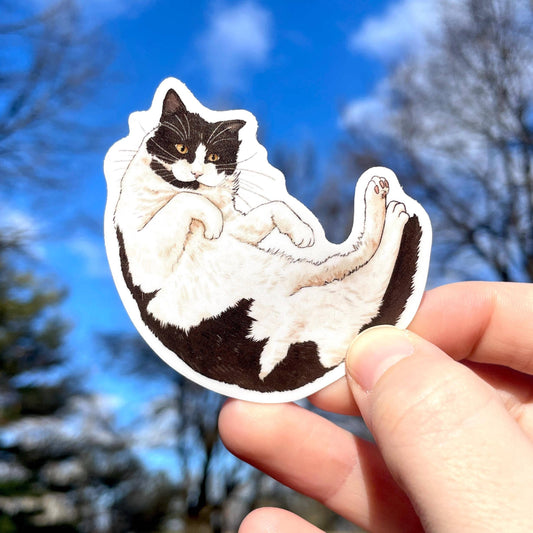 Black and White Cat Sticker