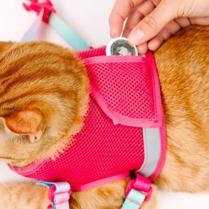 Stasia Cat Harness & Leash Set