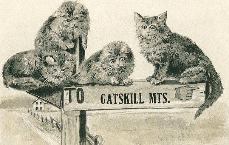 Cats on Catskill Mountains Sign Vintage Art Postcard