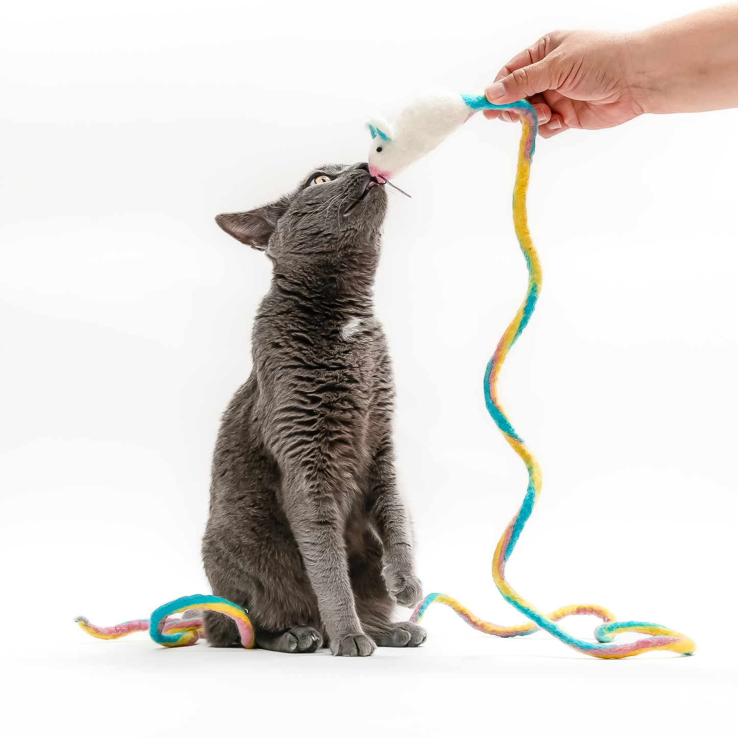 Wool Mouse Cat Toy with 6-Foot Tail (Rainbow)