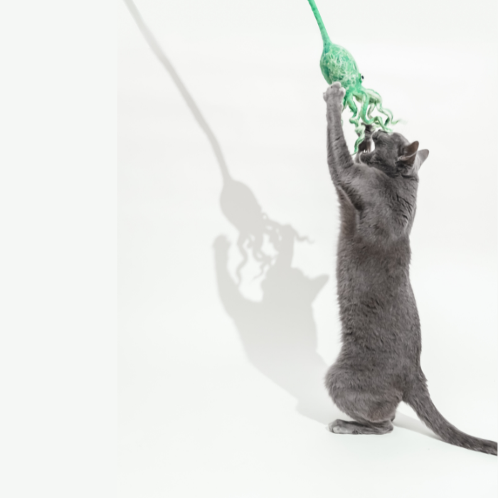 Wool Octopus Cat Toy with 4-Foot Tether (Sea Kelp Green)