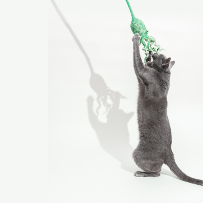 Wool Octopus Cat Toy with 4-Foot Tether (Sea Kelp Green)