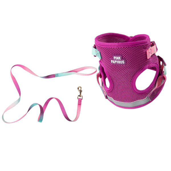 Joana Cat Harness & Leash Set