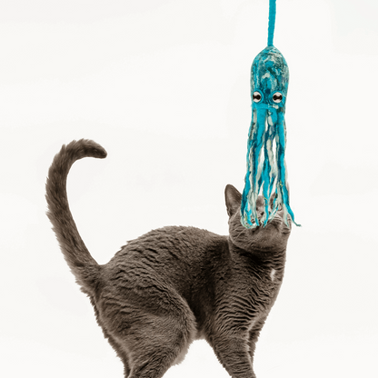 Wool Octopus Cat Toy with 4-Foot Tether (Sea Kelp Green)