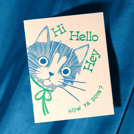 Hi Hello Hey Cat Greeting Card