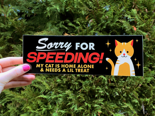 Sorry for Speeding! Cat Bumper Sticker