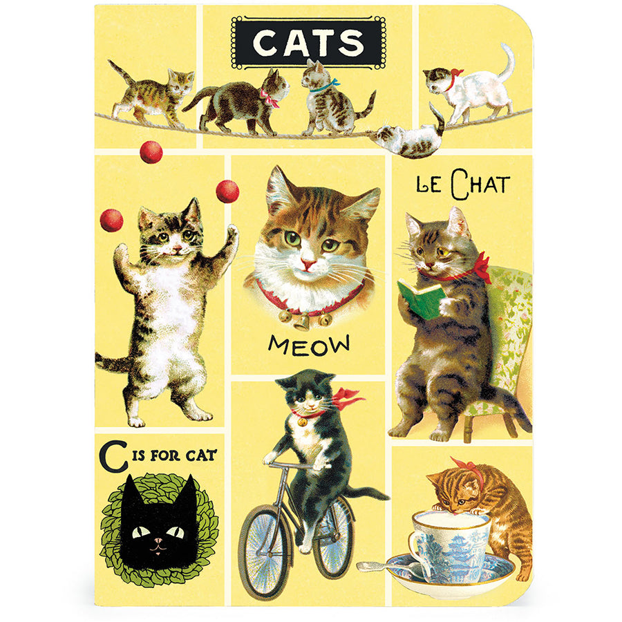 Vintage Cats Mini Notebooks (set of 3)