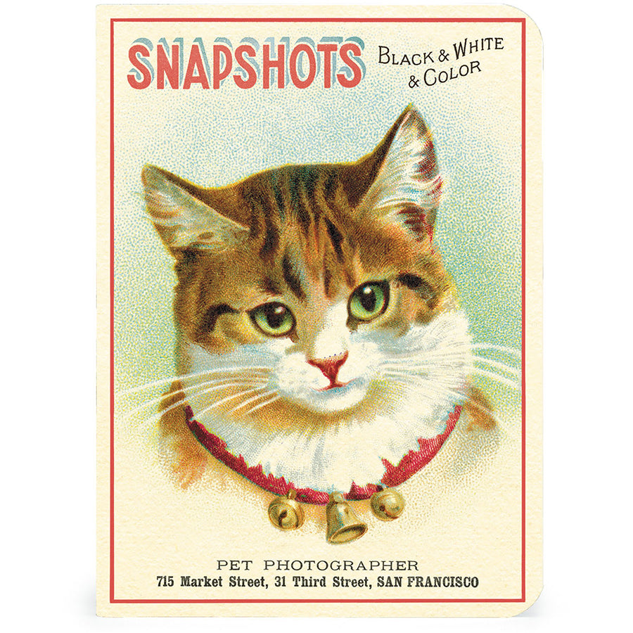 Vintage Cats Mini Notebooks (set of 3)