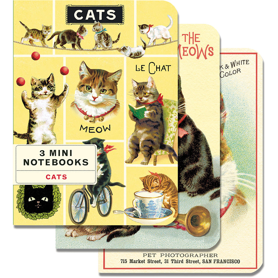 Vintage Cats Mini Notebooks (set of 3)