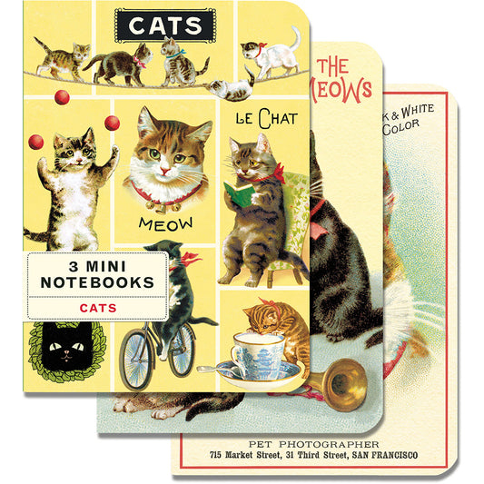 Vintage Cats Mini Notebooks (set of 3)